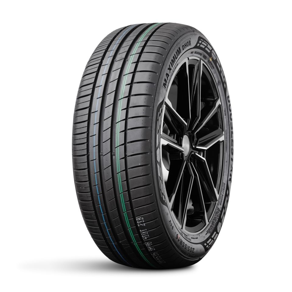 195/55 R15 85 V Doublestar DH08