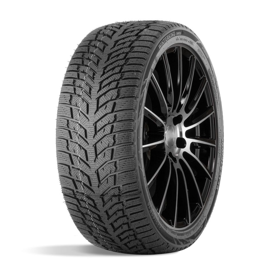 215/55 R16 93 H Doublestar DW08