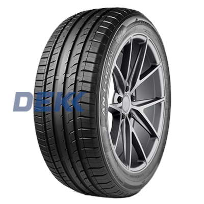 275/45 R20 110 V Antares Ingens-Locus