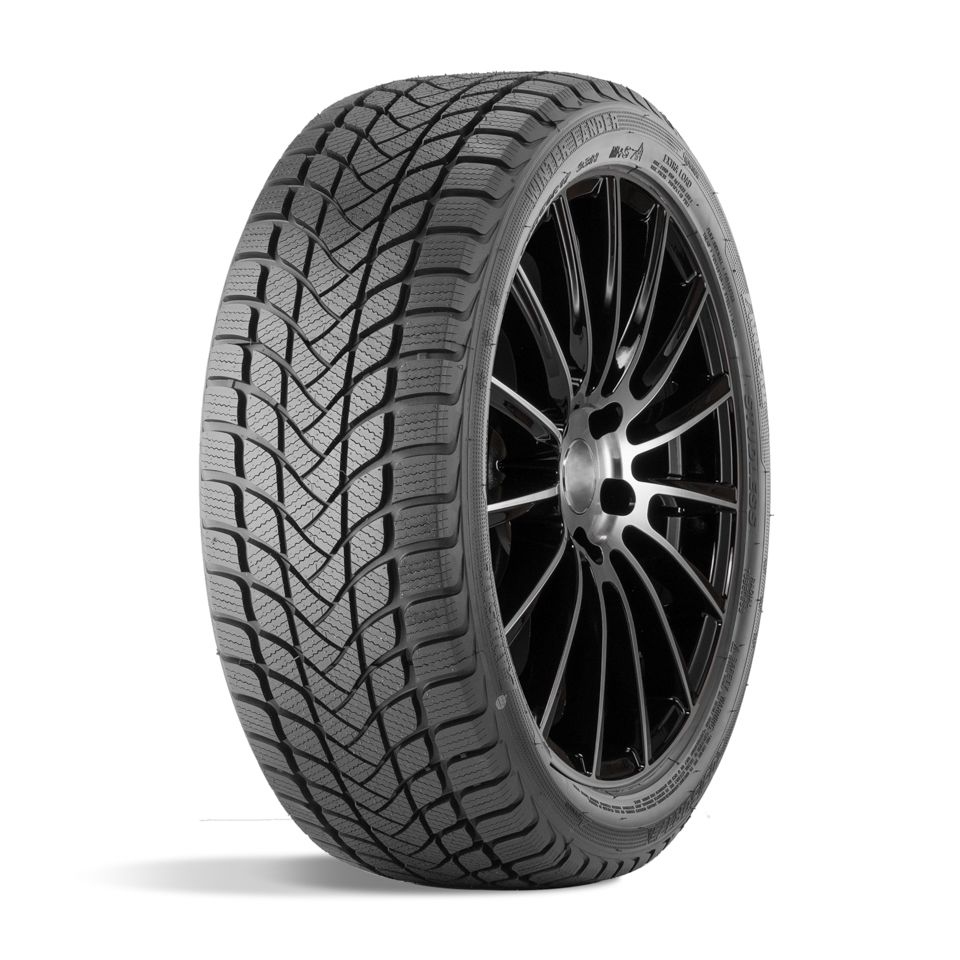 205/55 R17 95 H LANDSAIL WINTER LANDER