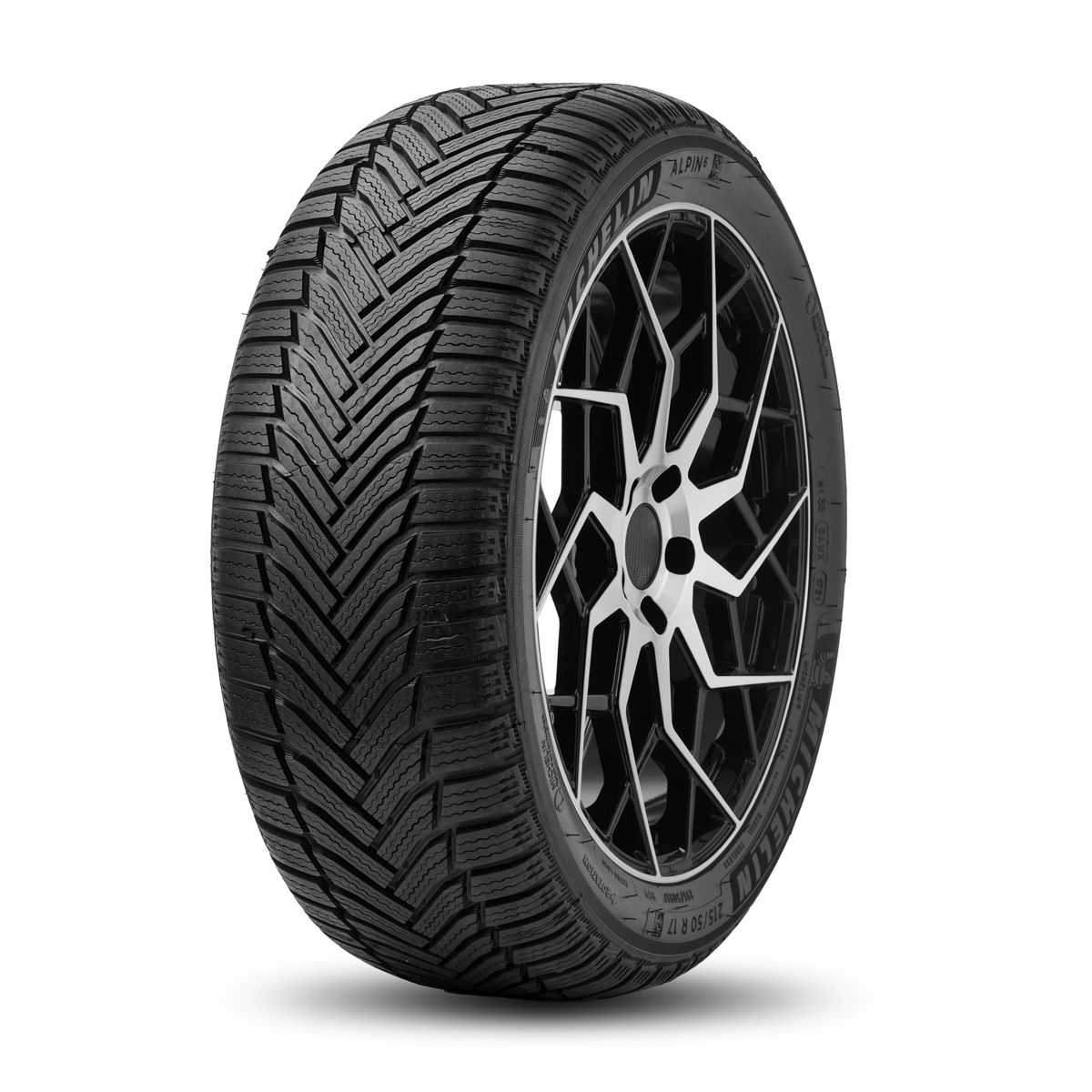 205/60 R17 93 H Michelin ALPIN 6